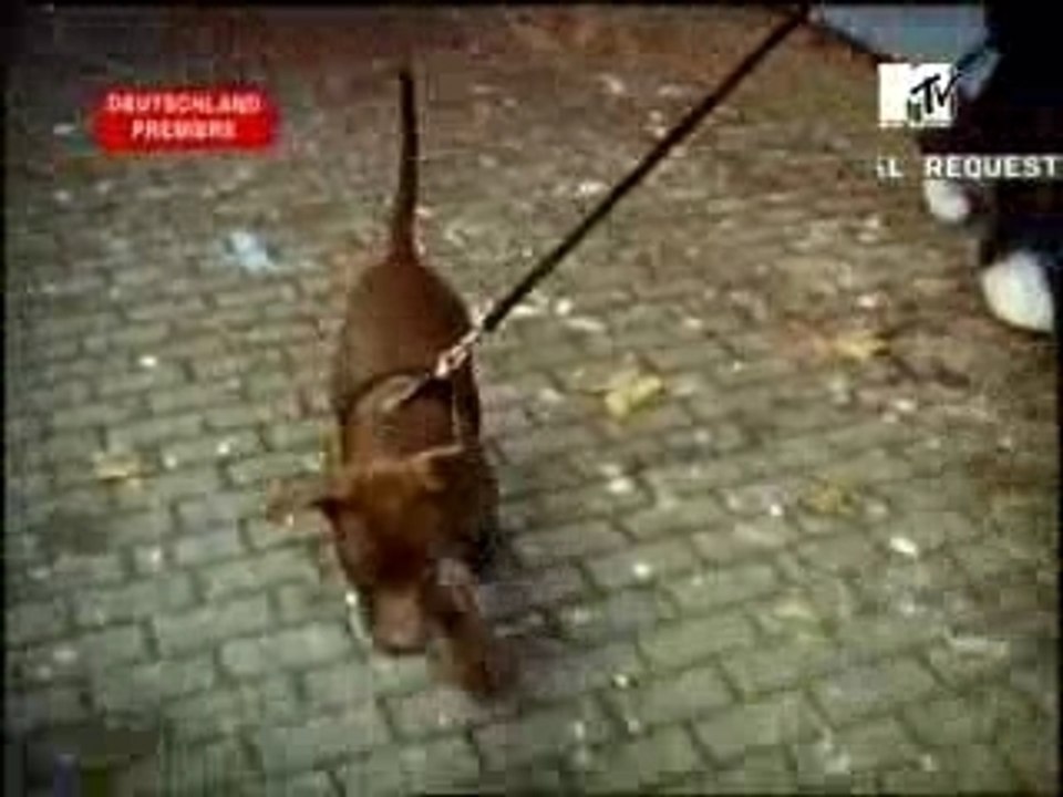 Sido - straßenjunge (b-stadt.com)