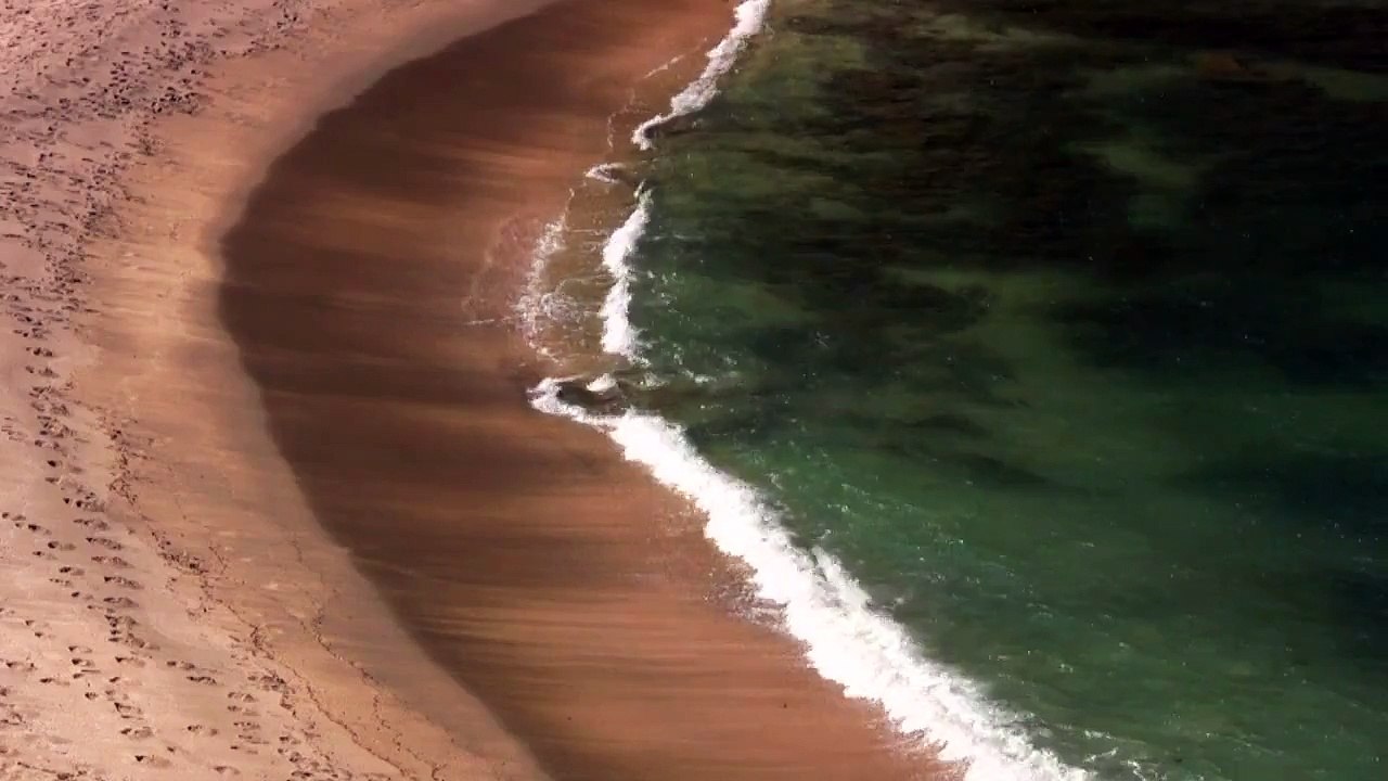 Beach with Green Waves