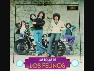 Los Felinos La Mula Bronca   Chicanas