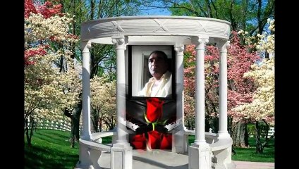 SEVGİLİ    DEMİRTAŞ