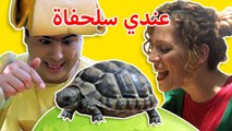 فوزي موزي وتوتي -السلحفاة في حديقة الحيوانات - Turtle Song