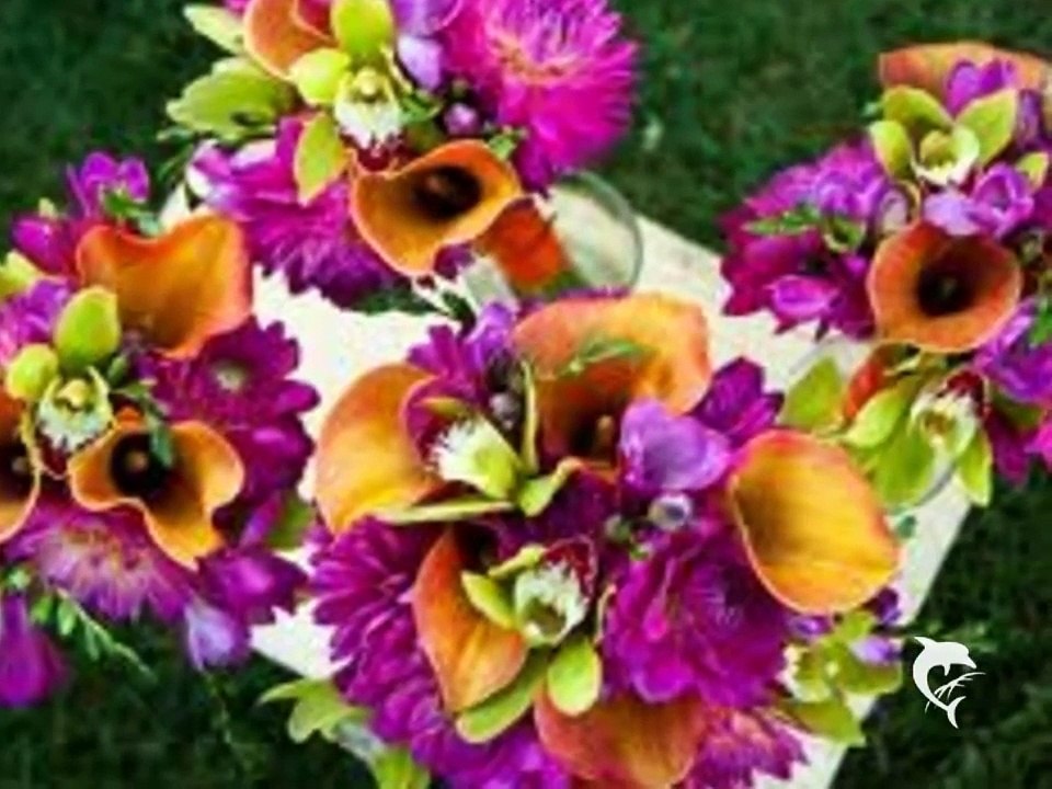 Stevie Wonder Power of Flowers