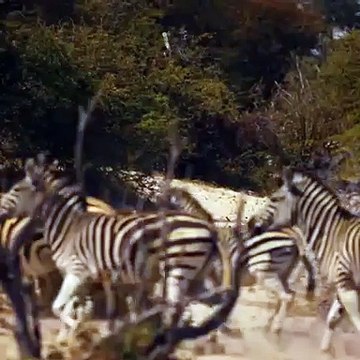 Taylor Swift Wildest Dreams Preview