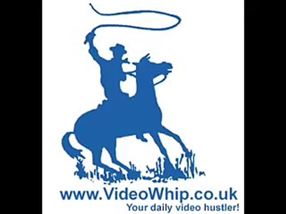 Very Funny Video, Very Angry Cat