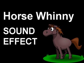 Horse Whinny SOUND EFFECT