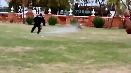 FINAL REGIONAL BAJIO DE RING FRANCES 2015