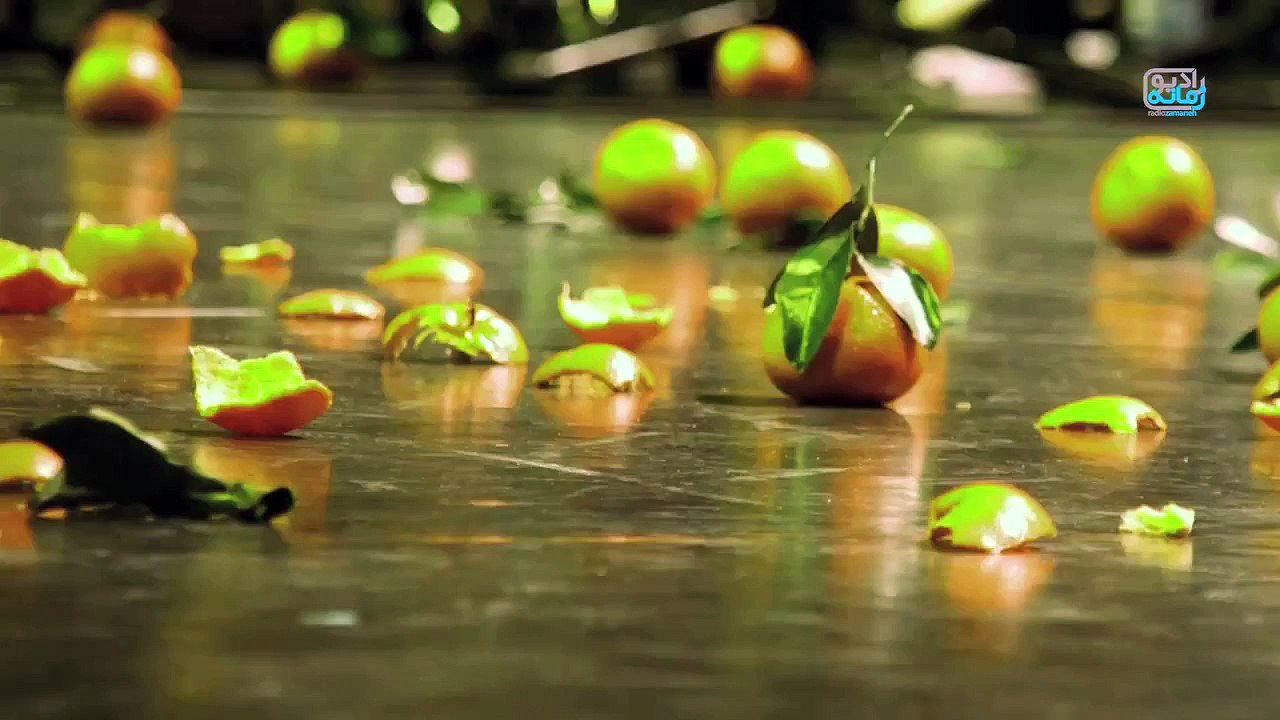 پاره‌ای از اجرای زنده محسن نامجو در کنسرت هلند