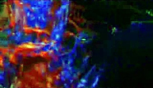 dima bilan believe live in eurovision