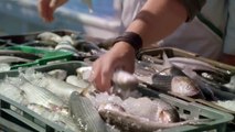 Nett für die Fische - 100% verantwortungsvolle SPAR Fisch-Produkte