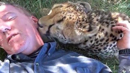 La complicité du gars avec ce guépard est impressionnante