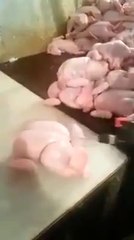 دیکھیں مرغی کے گوشت کا وزن پڑھانے کے لیے کس طرح پانی بھرا جاتا ہے