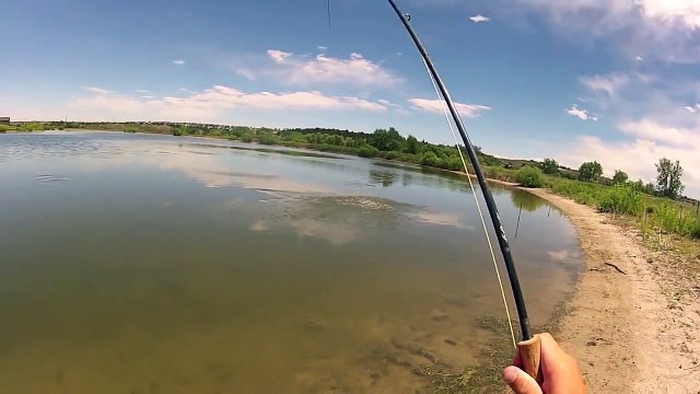 Grass Carp Fly Fishing - Monster Grass Carp On The Fly