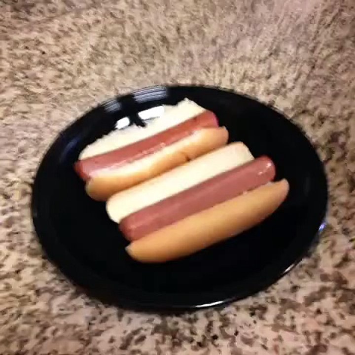 Best Vine 2015 - Ghost Mustard