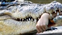Awful attack of crocodiles on people. Аlligator attack - Selection!  / Animal Attacks on Human