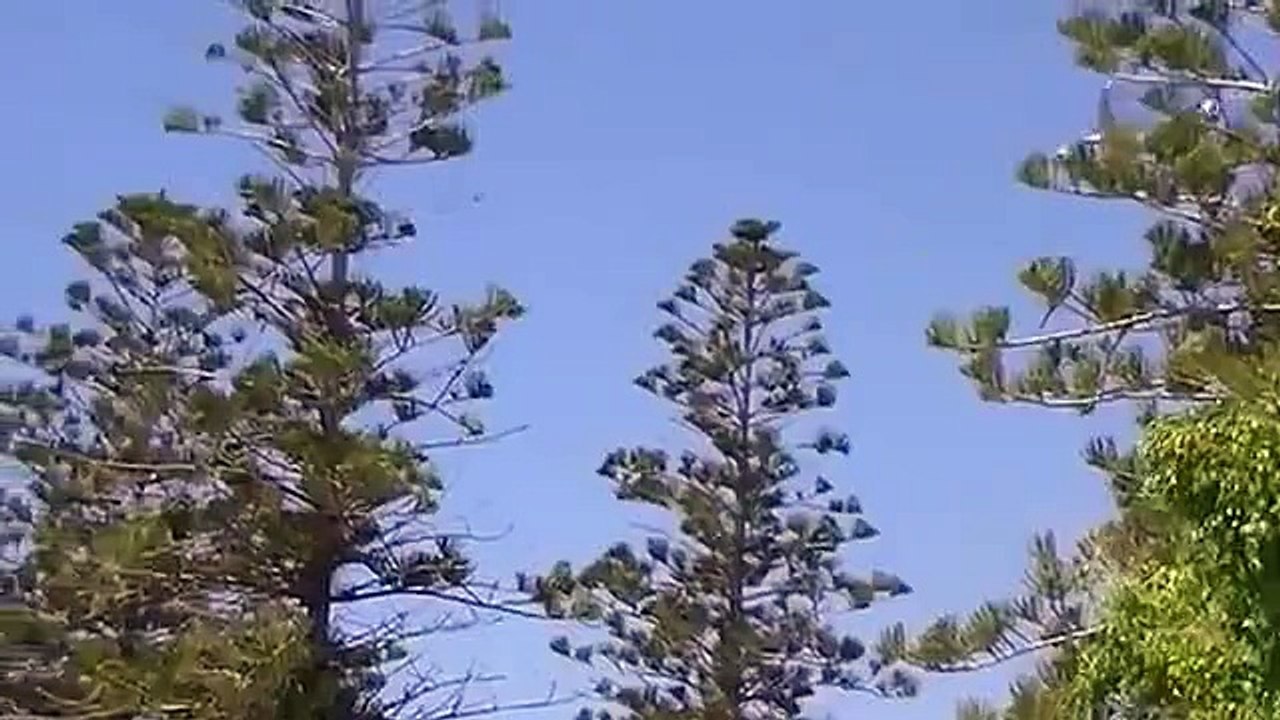 YARA YARA - animacja przy basenie - Rodos, Grecja (Rhodes, Greece)