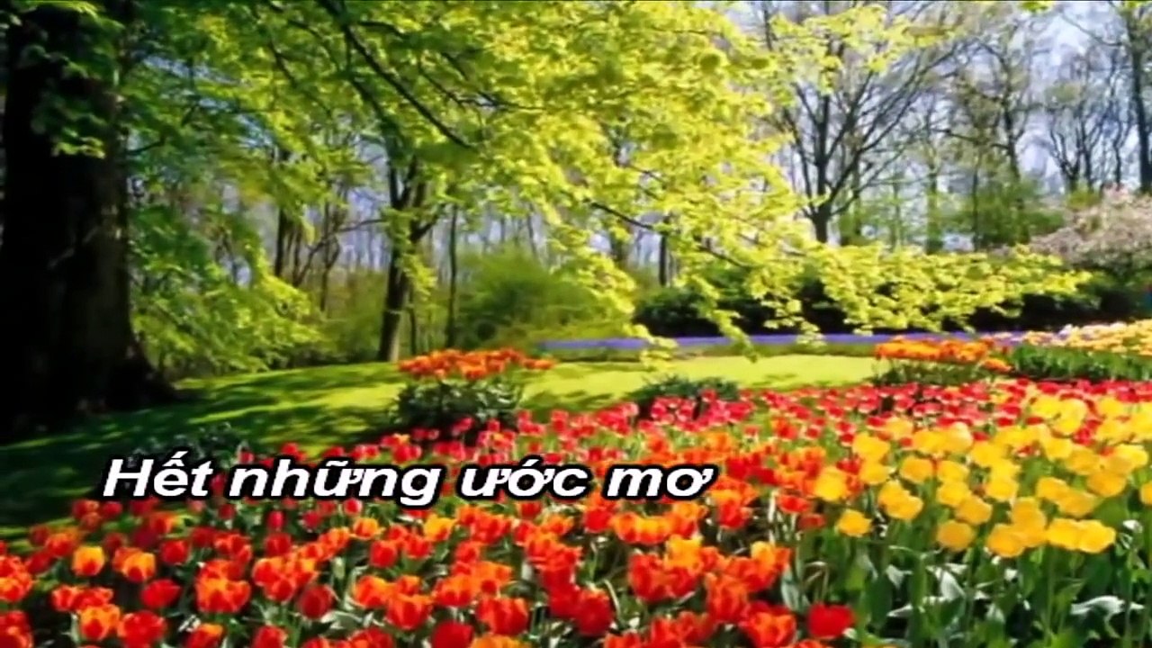 karaoke  TINH YEU TRA LAI TRANG SAO