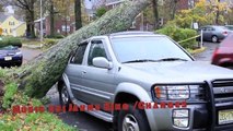 Hurricane Sandy Destroyed Cars and trees In New Jersey/ Orange