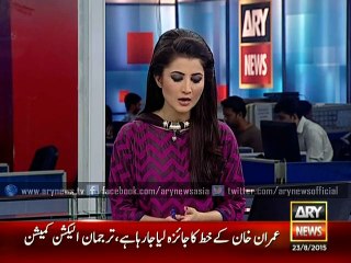 Inside story of PTI's Central Advisory Council meeting