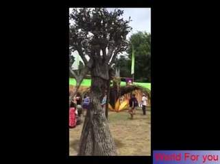 The Walking and Talking Tree