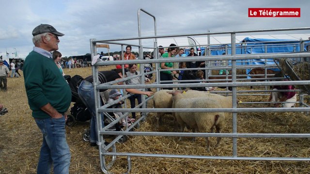 Pleyber-Christ (29) 38.000 visiteurs à Agrifête