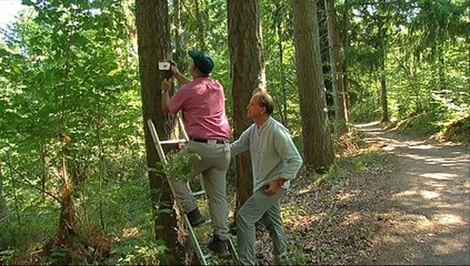 PAD SENTIER CHATEAU FORT ALSACE