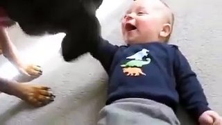 This baby must be having the best dog nanny ever