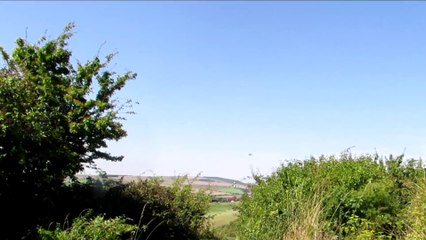 Crash d'un avion lors d'un meeting aérien