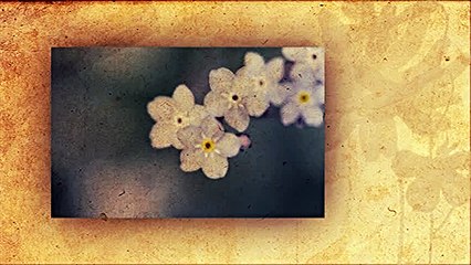 Zivojin Zdravkovic i NO Carevac - Stan', stani devojcice!