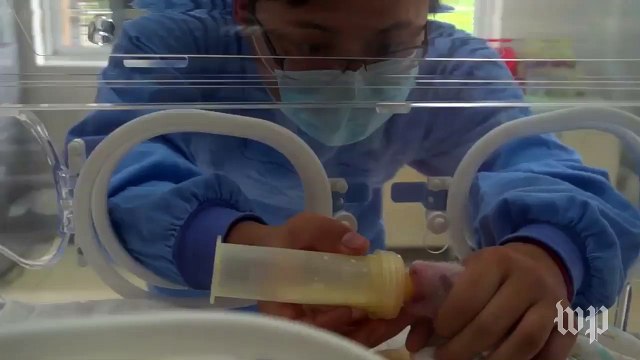 Pandas, from birth to milk to mom