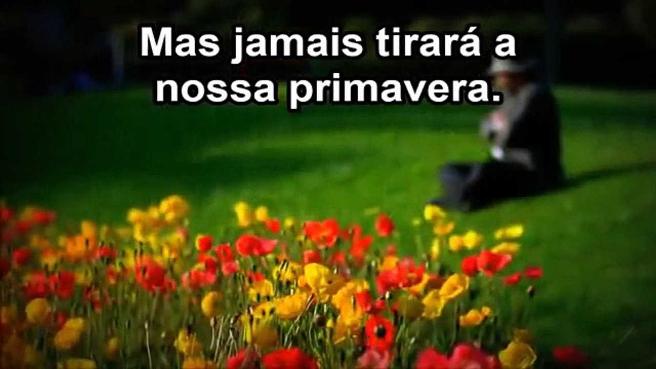 Primavera - Voz da Verdade (Playback e Legendado)