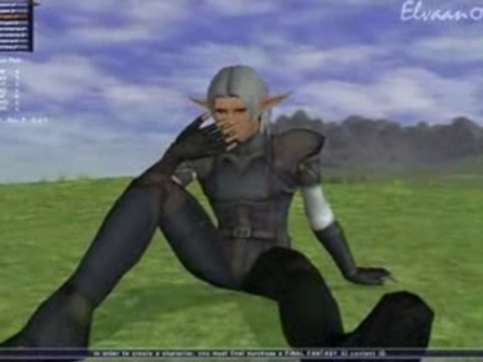 FF11 Experience
