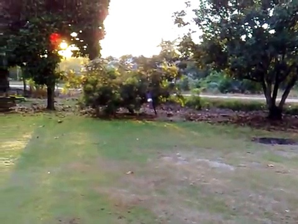 Morning Sounds in Village.mp4