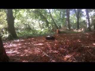 Détente après le travail !