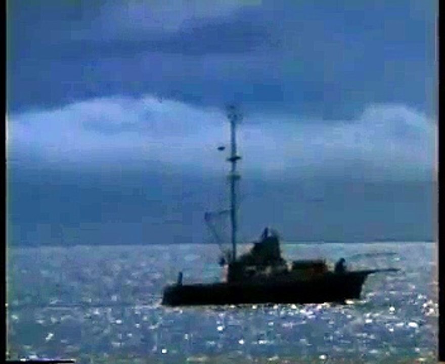 Ufo no filme O Tubarão