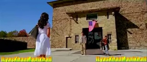 Pashto Song Featuring Katrina Kaif 🎶 | Follow for More