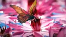 Visit Indonesia - Wonderful Indonesia ''Butterfly''(ipad)