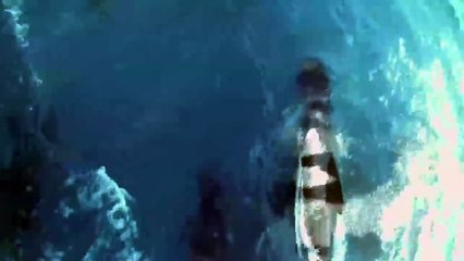 Rencontre de Tara avec des globicéphales - Tara Méditerranée 2014