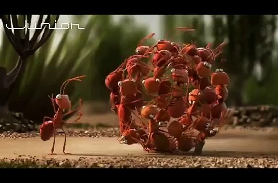 Motivacional - Trabalho em equipe - Juntos fazemos mais e melhor!