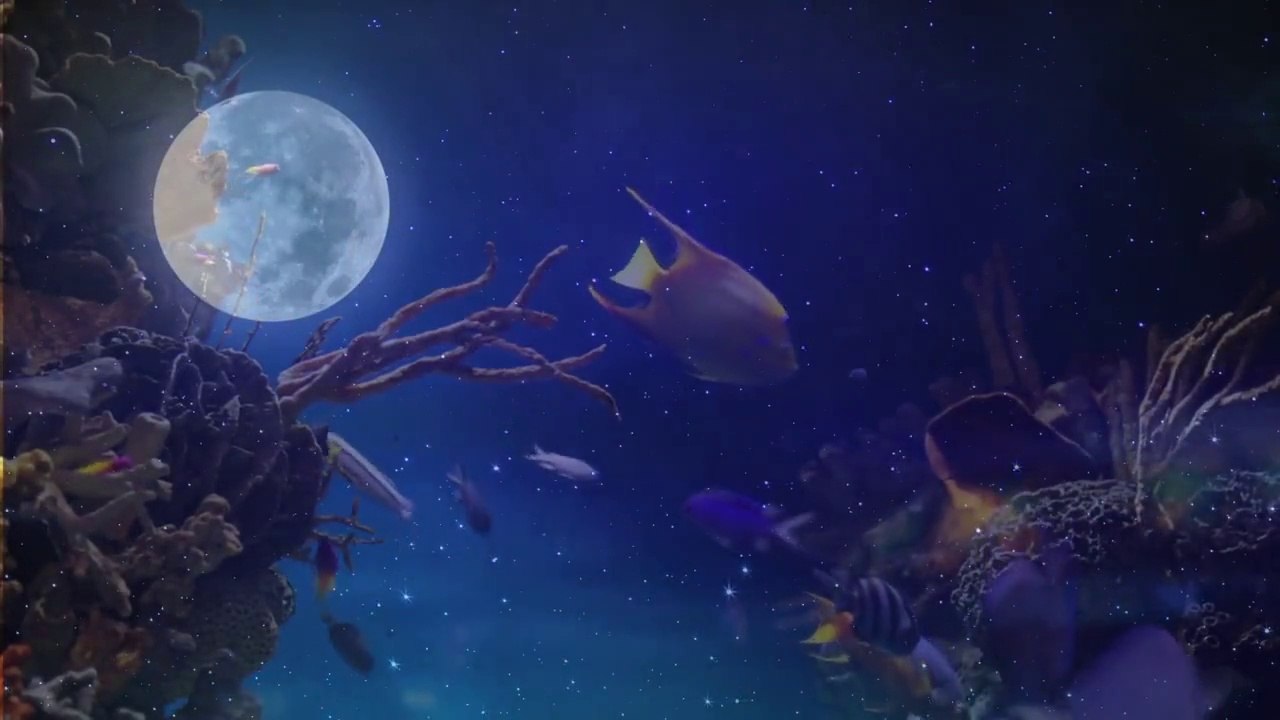 Pour avoir ses croquettes, ce chat doit chasser