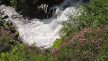 Paradise River waterfalls and Paradise Meadows, Mount Rainier National Park