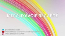 Stream de l'Alliance Rainbow (REPLAY) (2015-08-24 00:03:22 - 2015-08-24 00:11:44)