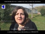 SOS VETERINARIO CANILE COMUNALE MURATELLA 