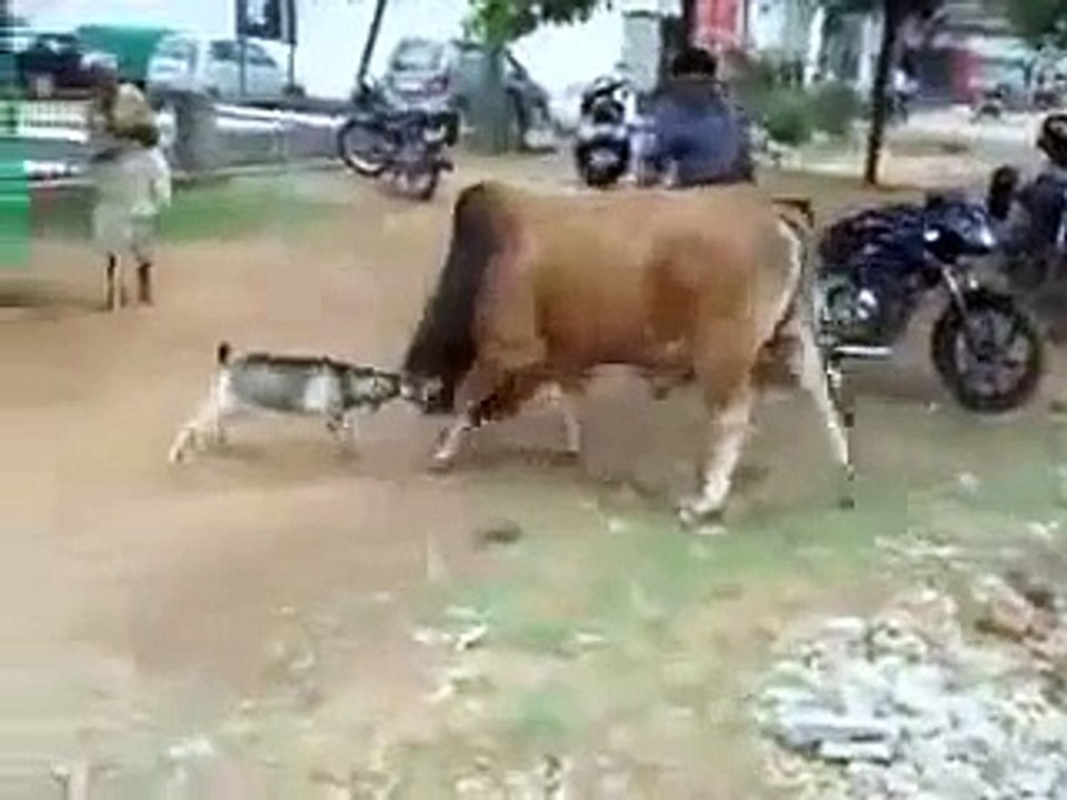 whatsapp funny video 08   @whatsapp #whatsapp