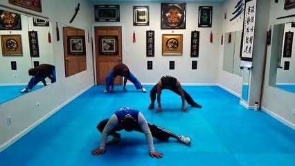 Complete Strength and Flexibility Training : Sigung : Jan 3 2015