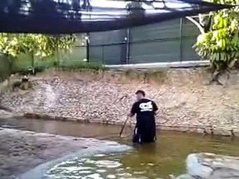 Gary @ Gator Boys Alligator Rescue in Everglades Holiday Park, Florida