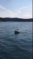 Tải video: Seal Shelters From Killer Whales in a Dinghy