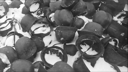 Unpublished German photographs of the war in Russia - What A Wonderful World