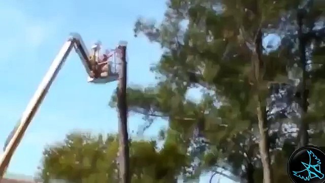 Fail Videoları, Komik Videolar, Kaza Videoları 5 [Yeni]