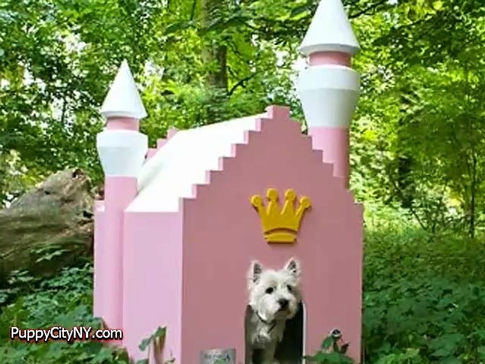 Worlds Most Expensive Dog Houses