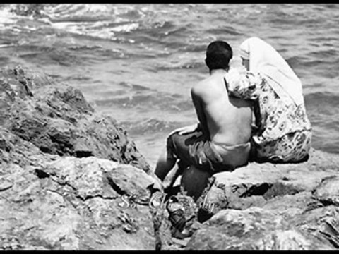 Tamer hosny wala aref